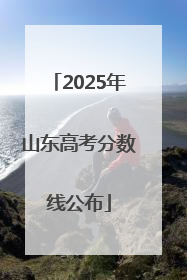 2025年山东高考分数线公布