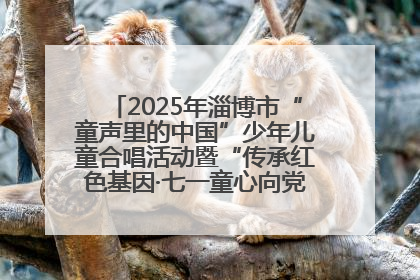 2025年淄博市“童声里的中国”少年儿童合唱活动暨“传承红色基因·七一童心向党”歌咏展演举行