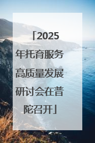 2025年托育服务高质量发展研讨会在普陀召开