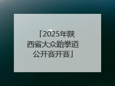 2025年陕西省大众跆拳道公开赛开赛