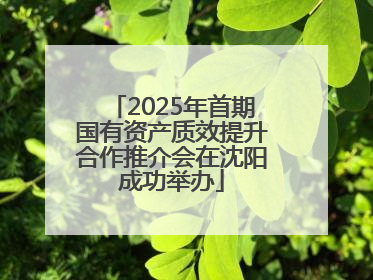 2025年首期国有资产质效提升合作推介会在沈阳成功举办