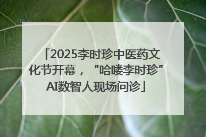 2025李时珍中医药文化节开幕，“哈喽李时珍”AI数智人现场问诊