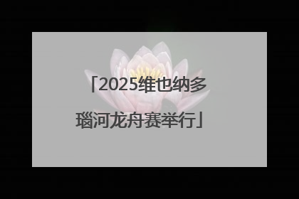 2025维也纳多瑙河龙舟赛举行