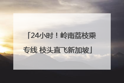 24小时！岭南荔枝乘专线 枝头直飞新加坡