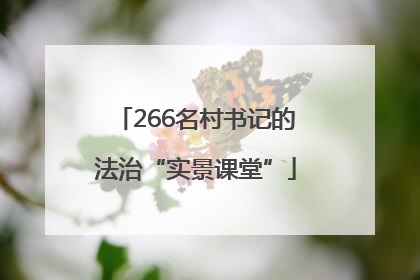 266名村书记的法治“实景课堂”