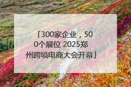 300家企业，500个展位 2025郑州跨境电商大会开幕