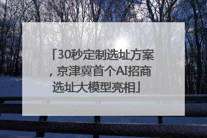 30秒定制选址方案，京津冀首个AI招商选址大模型亮相