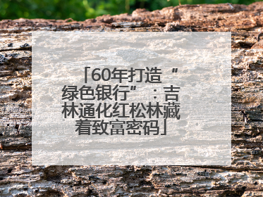 60年打造“绿色银行”：吉林通化红松林藏着致富密码