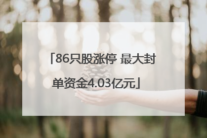 86只股涨停 最大封单资金4.03亿元