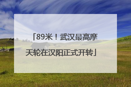 89米！武汉最高摩天轮在汉阳正式开转
