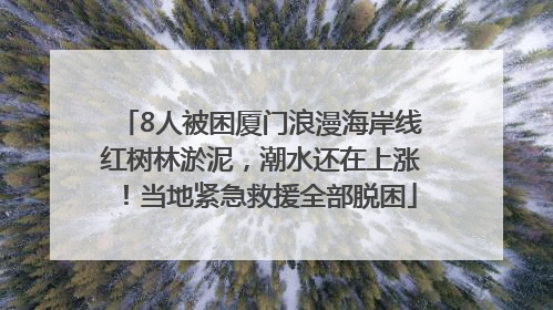 8人被困厦门浪漫海岸线红树林淤泥，潮水还在上涨！当地紧急救援全部脱困
