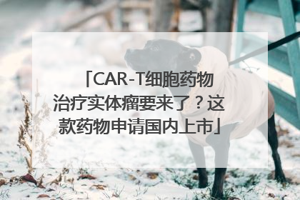 CAR-T细胞药物治疗实体瘤要来了？这款药物申请国内上市