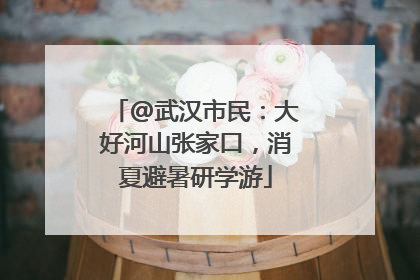 @武汉市民：大好河山张家口，消夏避暑研学游