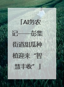 AI务农记——彭集街道甜瓜种植迎来“智慧丰收”