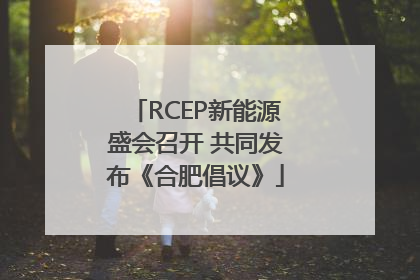 RCEP新能源盛会召开 共同发布《合肥倡议》