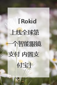 Rokid 上线全球第一个智能眼镜支付 内置支付宝