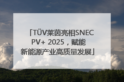 TÜV莱茵亮相SNEC PV+ 2025，赋能新能源产业高质量发展